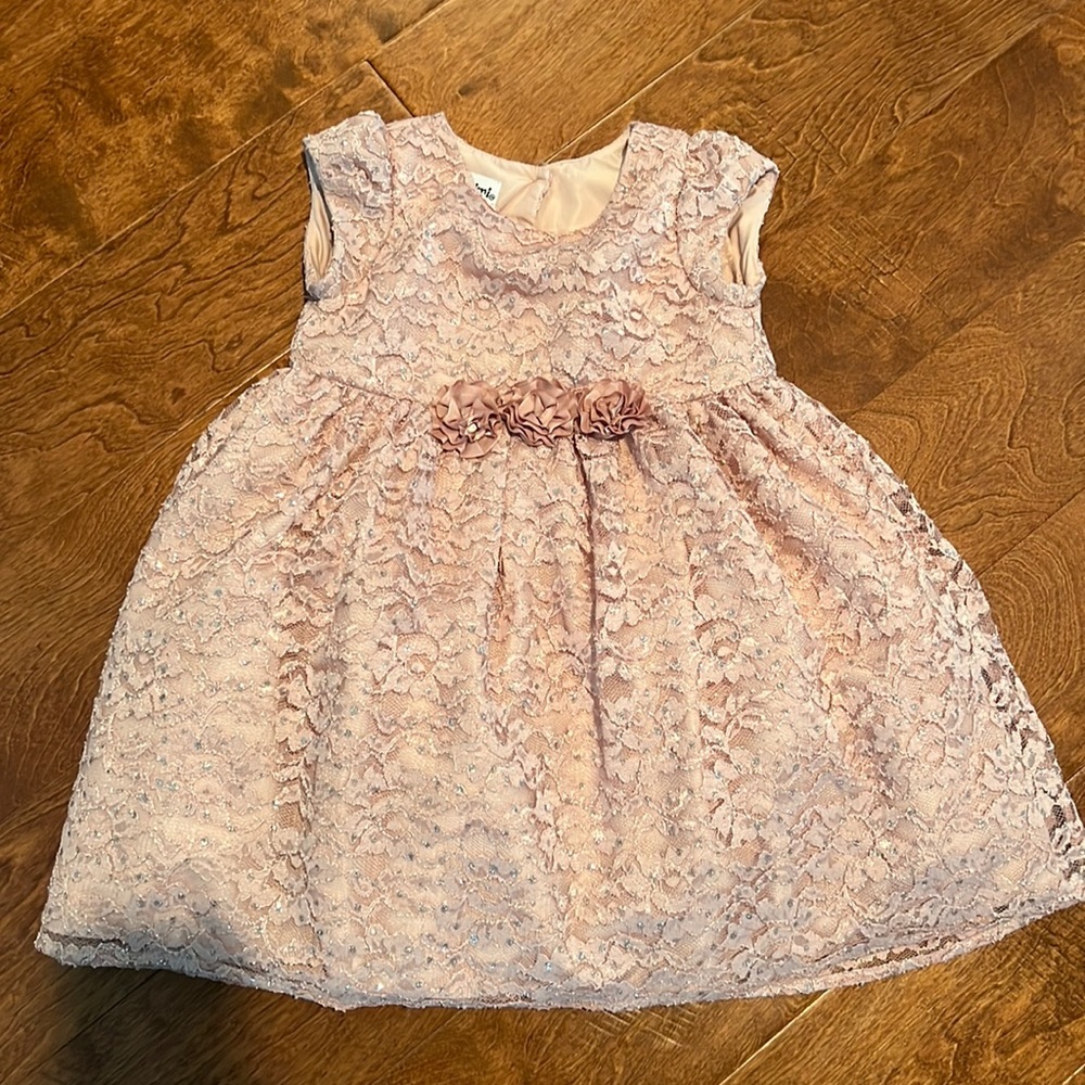 Pale pink girls dress - 4t - worn only for pictures once!